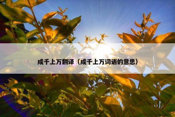 成千上万翻译（成千上万词语的意思）