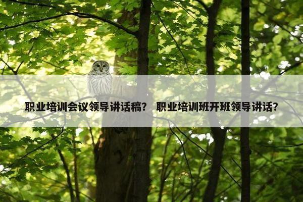 职业培训会议领导讲话稿？ 职业培训班开班领导讲话？