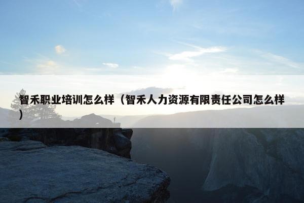 智禾职业培训怎么样（智禾人力资源有限责任公司怎么样）