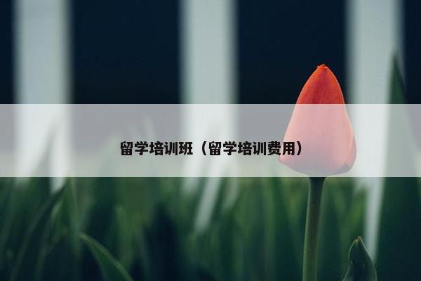 留学培训班（留学培训费用）