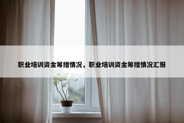 职业培训资金筹措情况，职业培训资金筹措情况汇报