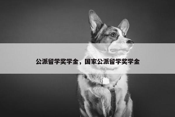 公派留学奖学金，国家公派留学奖学金