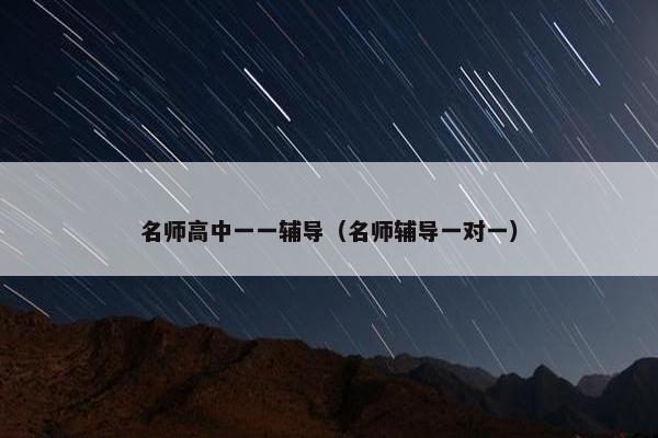 名师高中一一辅导（名师辅导一对一）