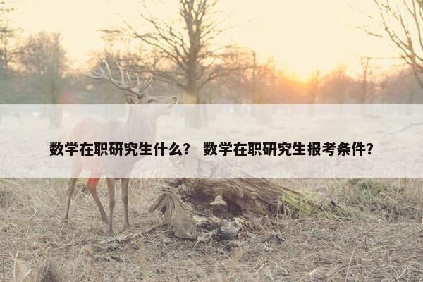 数学在职研究生什么？ 数学在职研究生报考条件？
