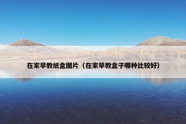 在家早教纸盒图片（在家早教盒子哪种比较好）