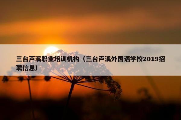 三台芦溪职业培训机构（三台芦溪外国语学校2019招聘信息）