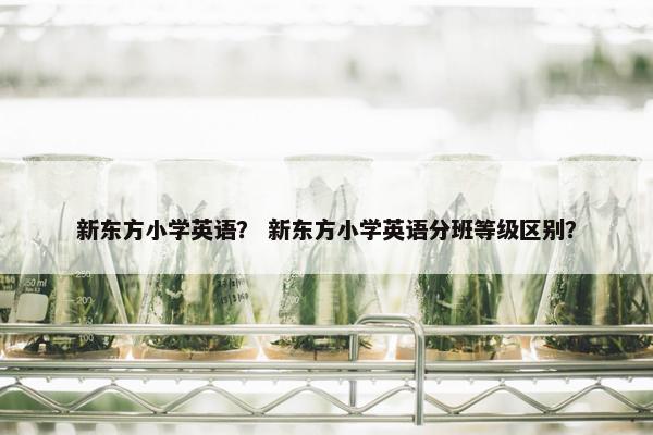 新东方小学英语？ 新东方小学英语分班等级区别？