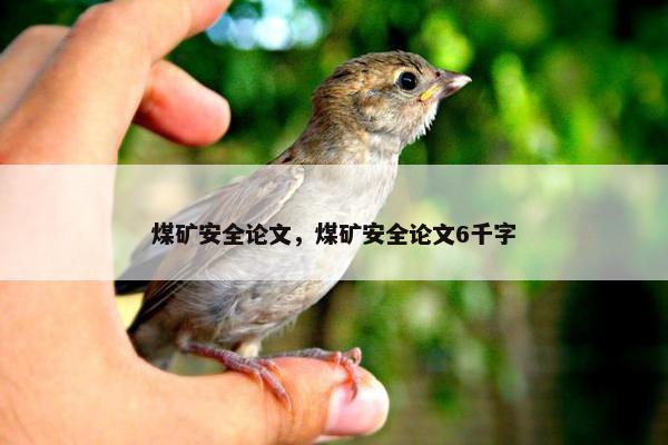 煤矿安全论文，煤矿安全论文6千字