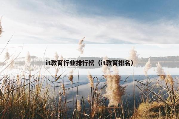 it教育行业排行榜（it教育排名）
