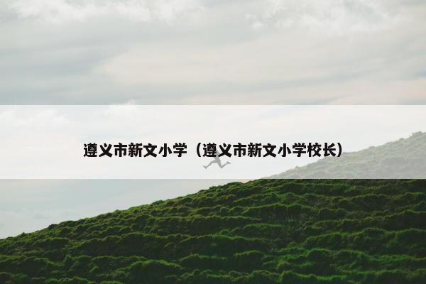 遵义市新文小学（遵义市新文小学校长）