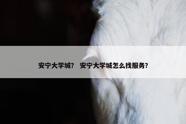 安宁大学城？ 安宁大学城怎么找服务？