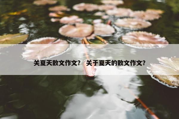 关夏天散文作文？ 关于夏天的散文作文？