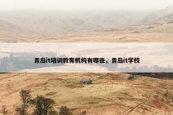青岛it培训教育机构有哪些，青岛it学校