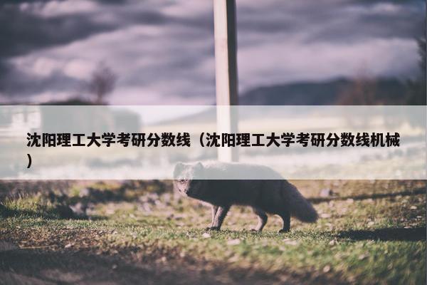 沈阳理工大学考研分数线（沈阳理工大学考研分数线机械）