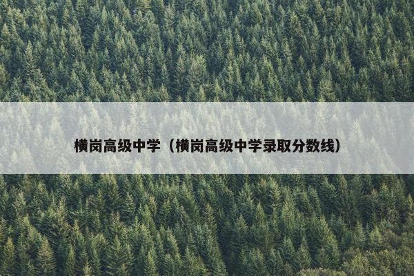 横岗高级中学（横岗高级中学录取分数线）