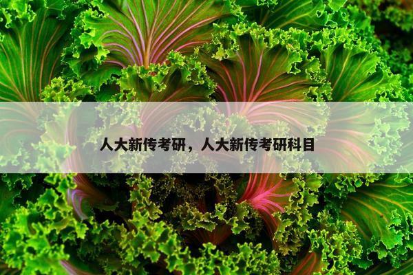 人大新传考研，人大新传考研科目