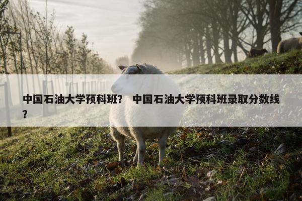 中国石油大学预科班？ 中国石油大学预科班录取分数线？