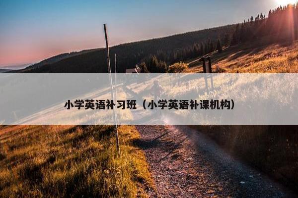 小学英语补习班（小学英语补课机构）