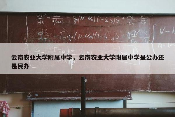 云南农业大学附属中学，云南农业大学附属中学是公办还是民办