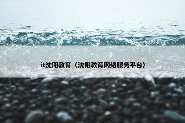 it沈阳教育（沈阳教育网络服务平台）
