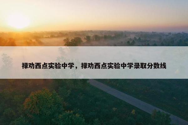 禄劝西点实验中学，禄劝西点实验中学录取分数线