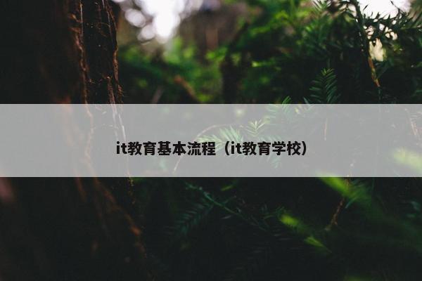 it教育基本流程（it教育学校）