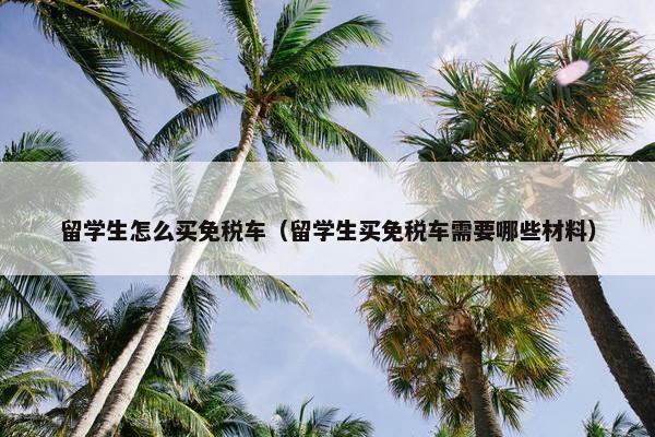 留学生怎么买免税车（留学生买免税车需要哪些材料）