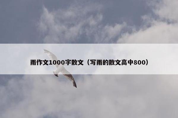 雨作文1000字散文（写雨的散文高中800）