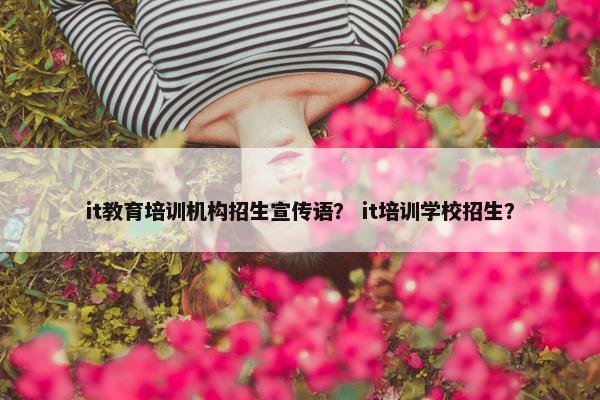 it教育培训机构招生宣传语？ it培训学校招生？