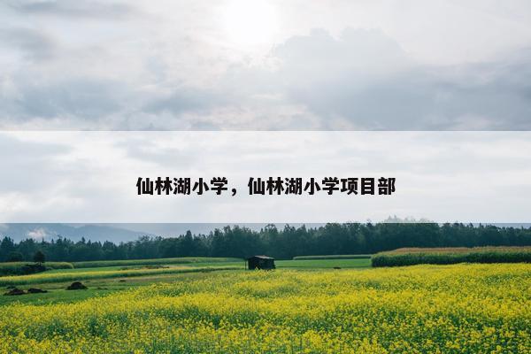 仙林湖小学，仙林湖小学项目部