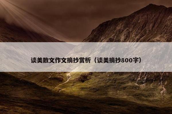 谈美散文作文摘抄赏析（谈美摘抄800字）