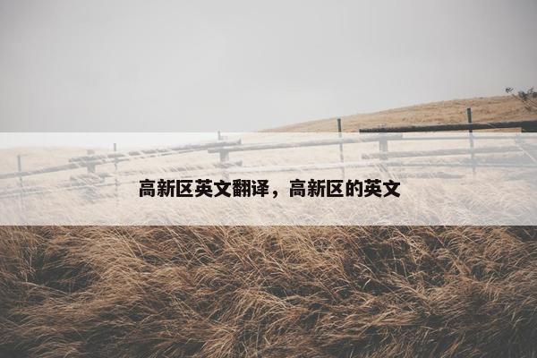 高新区英文翻译，高新区的英文