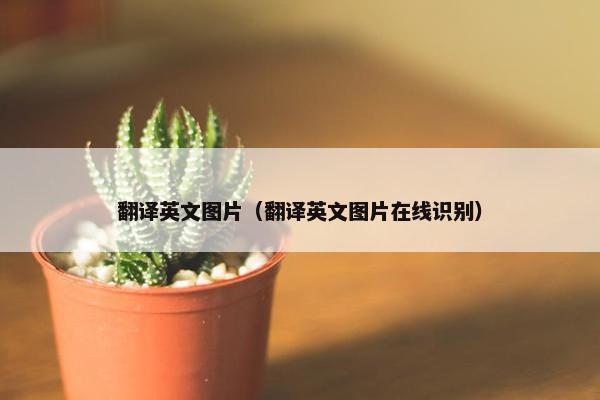 翻译英文图片（翻译英文图片在线识别）