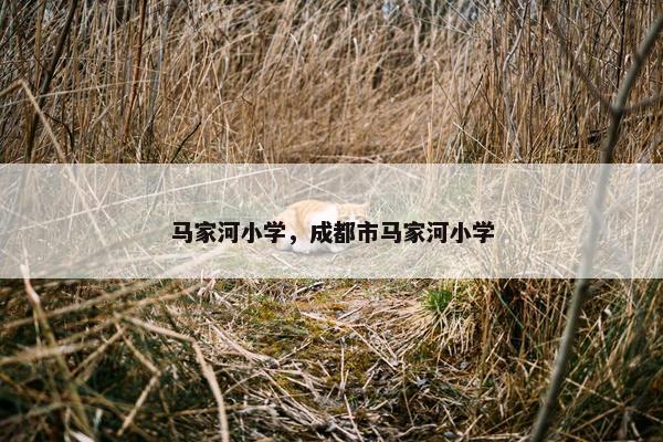 马家河小学，成都市马家河小学