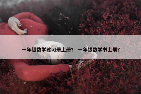 一年级数学练习册上册？ 一年级数学书上册？