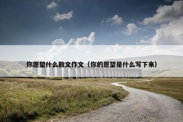 你愿望什么散文作文（你的愿望是什么写下来）