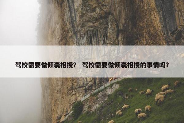 驾校需要做倾囊相授？ 驾校需要做倾囊相授的事情吗？