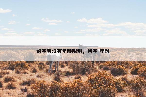 留学有没有年龄限制，留学 年龄