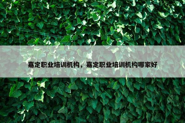 嘉定职业培训机构，嘉定职业培训机构哪家好