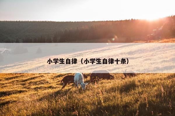 小学生自律（小学生自律十条）