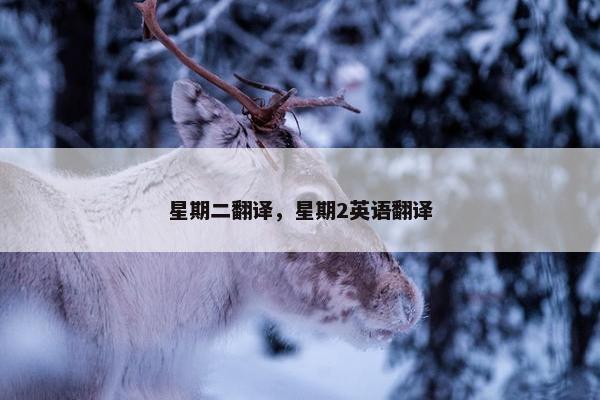 星期二翻译，星期2英语翻译