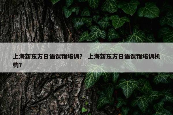 上海新东方日语课程培训？ 上海新东方日语课程培训机构？