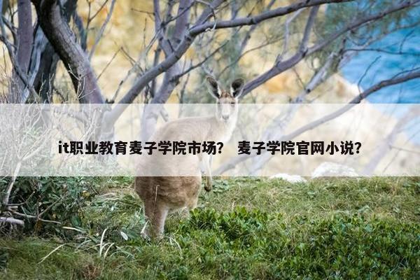 it职业教育麦子学院市场？ 麦子学院官网小说？