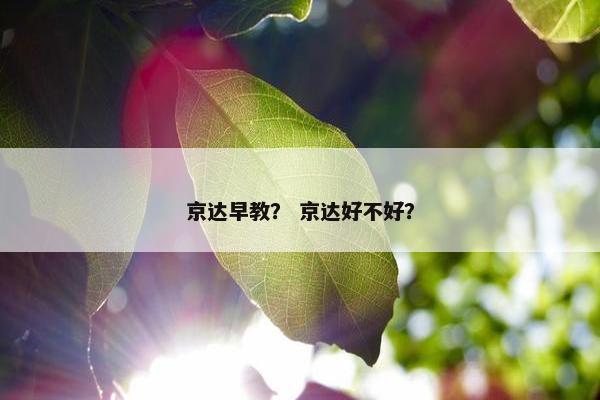 京达早教？ 京达好不好？