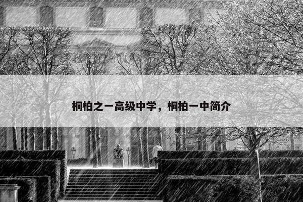 桐柏之一高级中学，桐柏一中简介