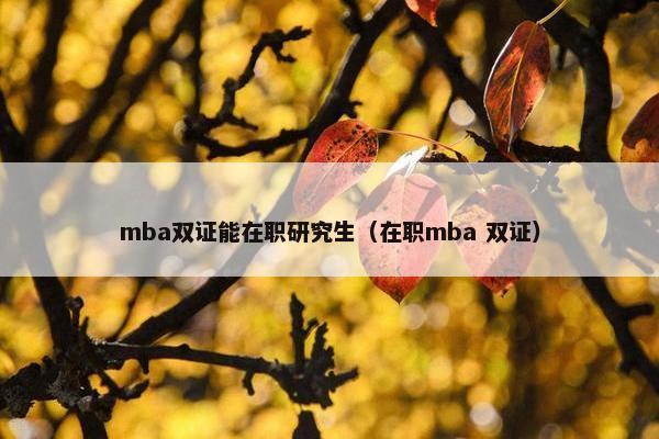 mba双证能在职研究生（在职mba 双证）