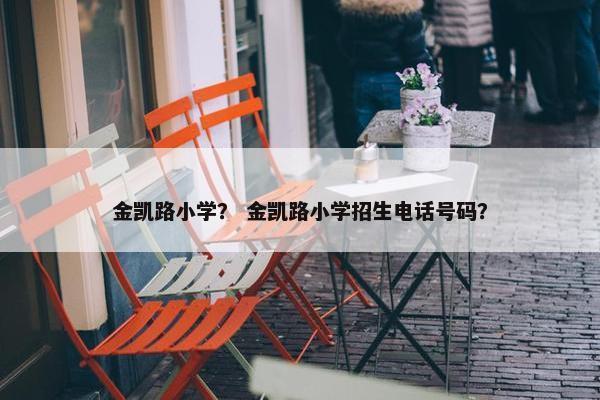 金凯路小学？ 金凯路小学招生电话号码？