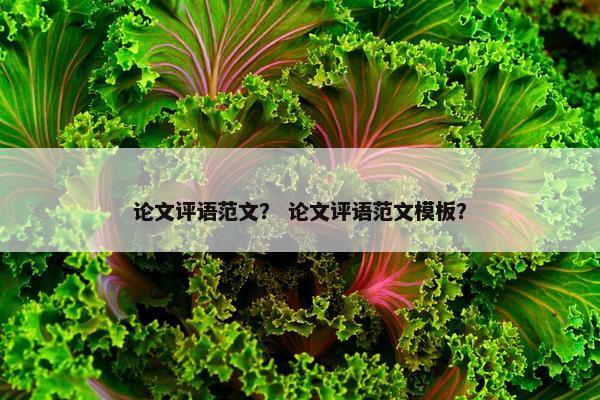 论文评语范文？ 论文评语范文模板？