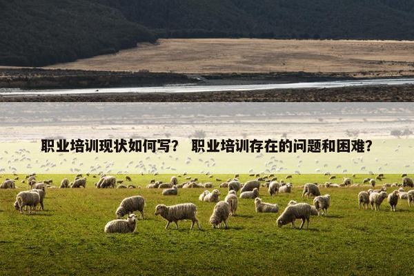职业培训现状如何写？ 职业培训存在的问题和困难？
