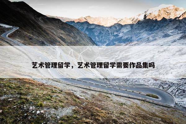 艺术管理留学，艺术管理留学需要作品集吗